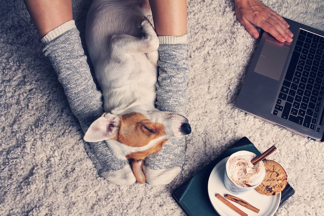 Woman in cozy home wear relaxing at home with a dog